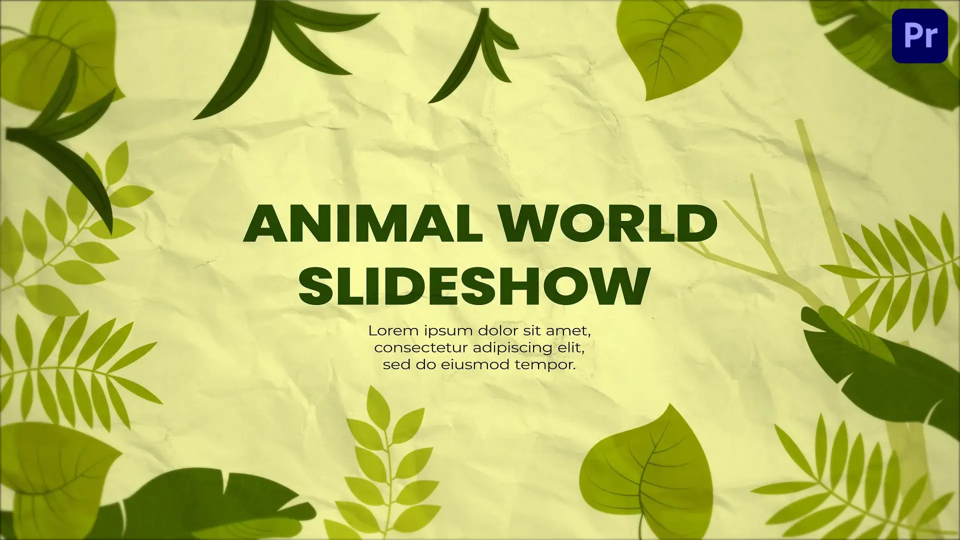 Jungle Animal World Slideshow
